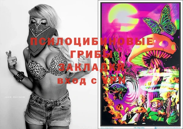 2c-b Киреевск