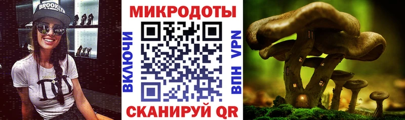 Купить  Бугуруслан  Галлюциногенные грибы прущие грибы 